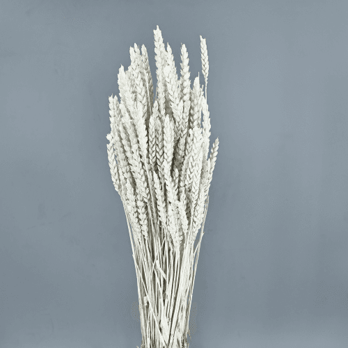 Trigo Seco Decorativo Misty