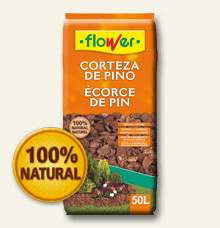 Corteza Pino, Naranja, 1 tallos