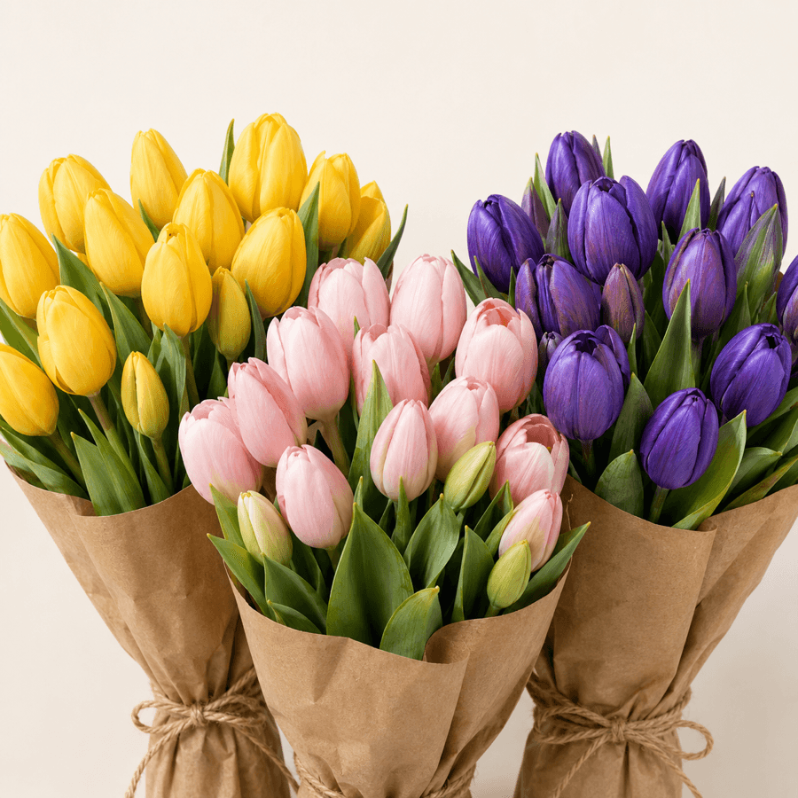 Tulipanes