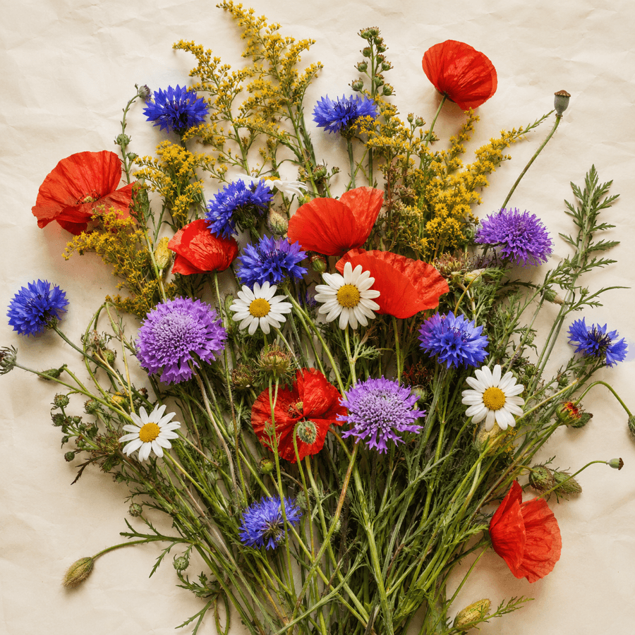 Flores Silvestres