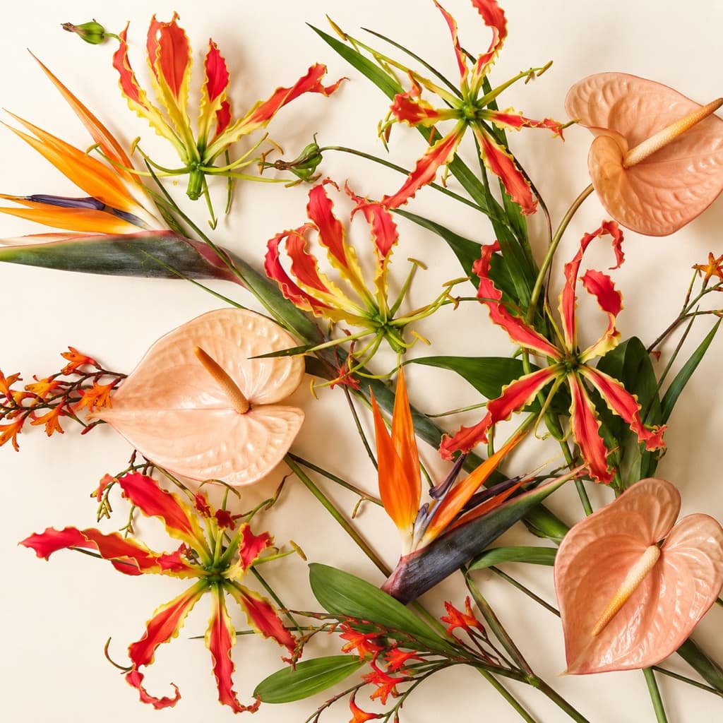 Flores Exóticas