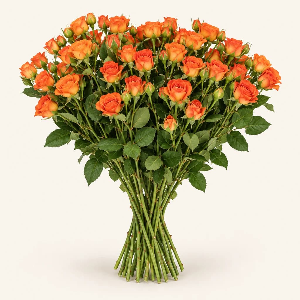 Ram de roses spray Babe taronges (Rosa)