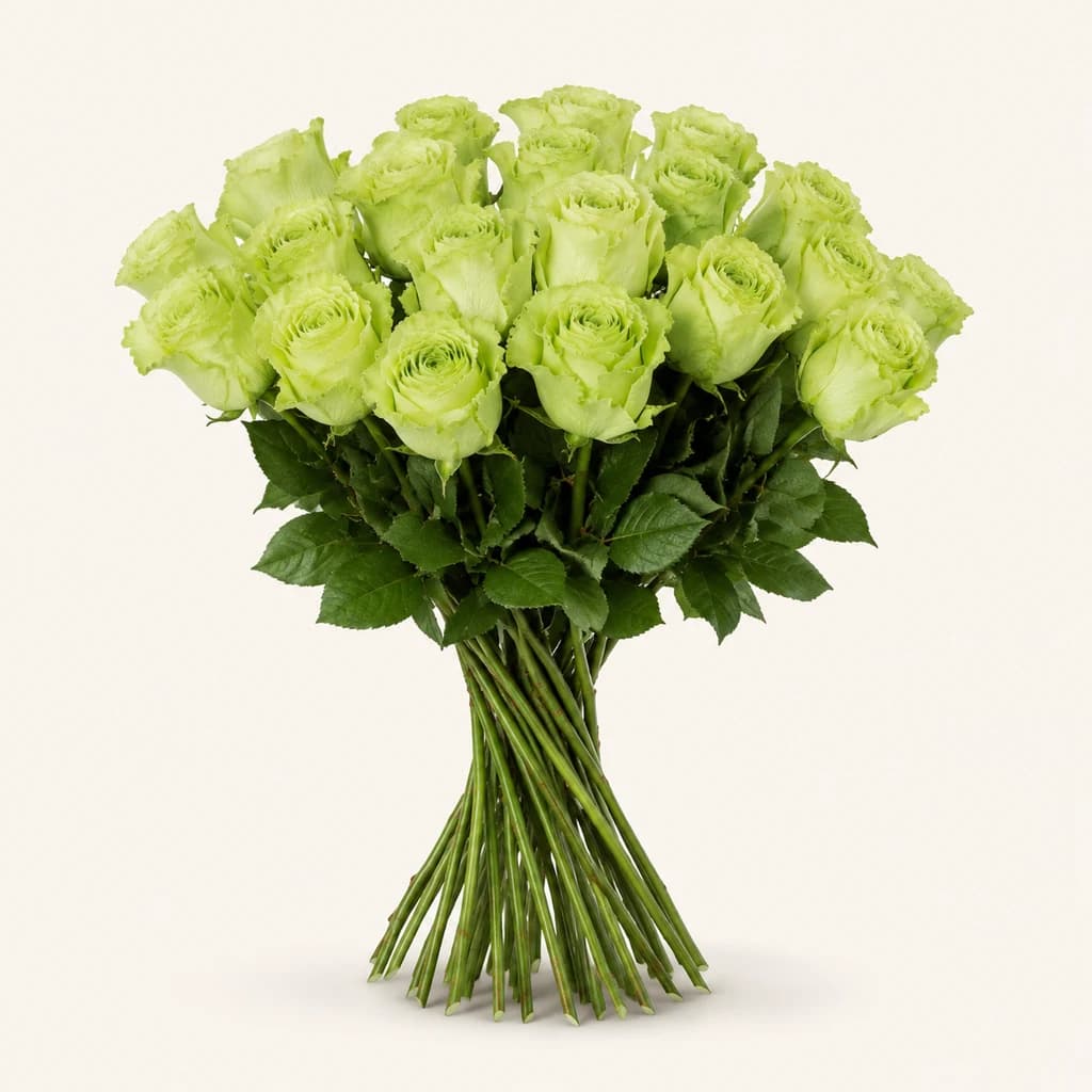 Bouquet de 25 roses Lemonade vertes à tige de 50 cm (Rosa)