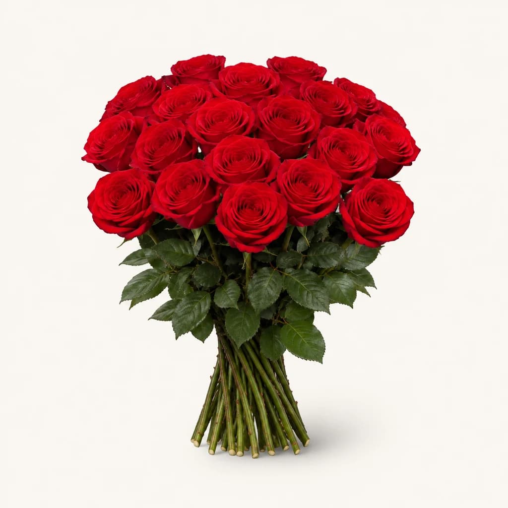 Rosa Bromo taronja fosc