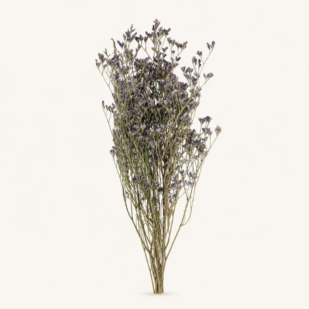 Bouquet de limonium violet stabilisé de 70 g et 70 cm