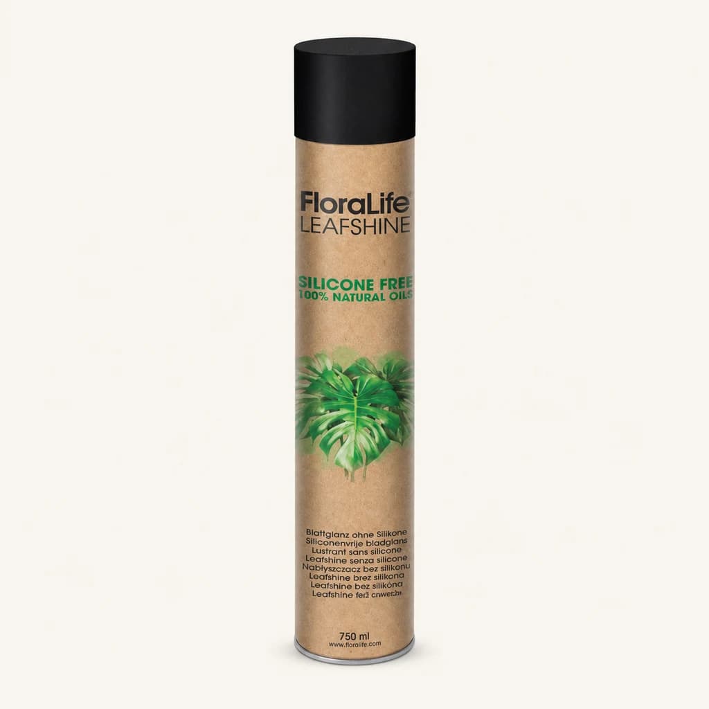 Spray brilho sem silicone