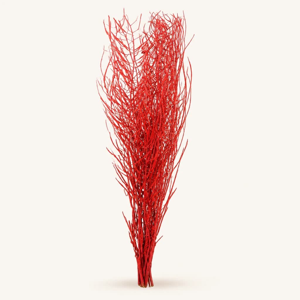 Piment rouge préservé
