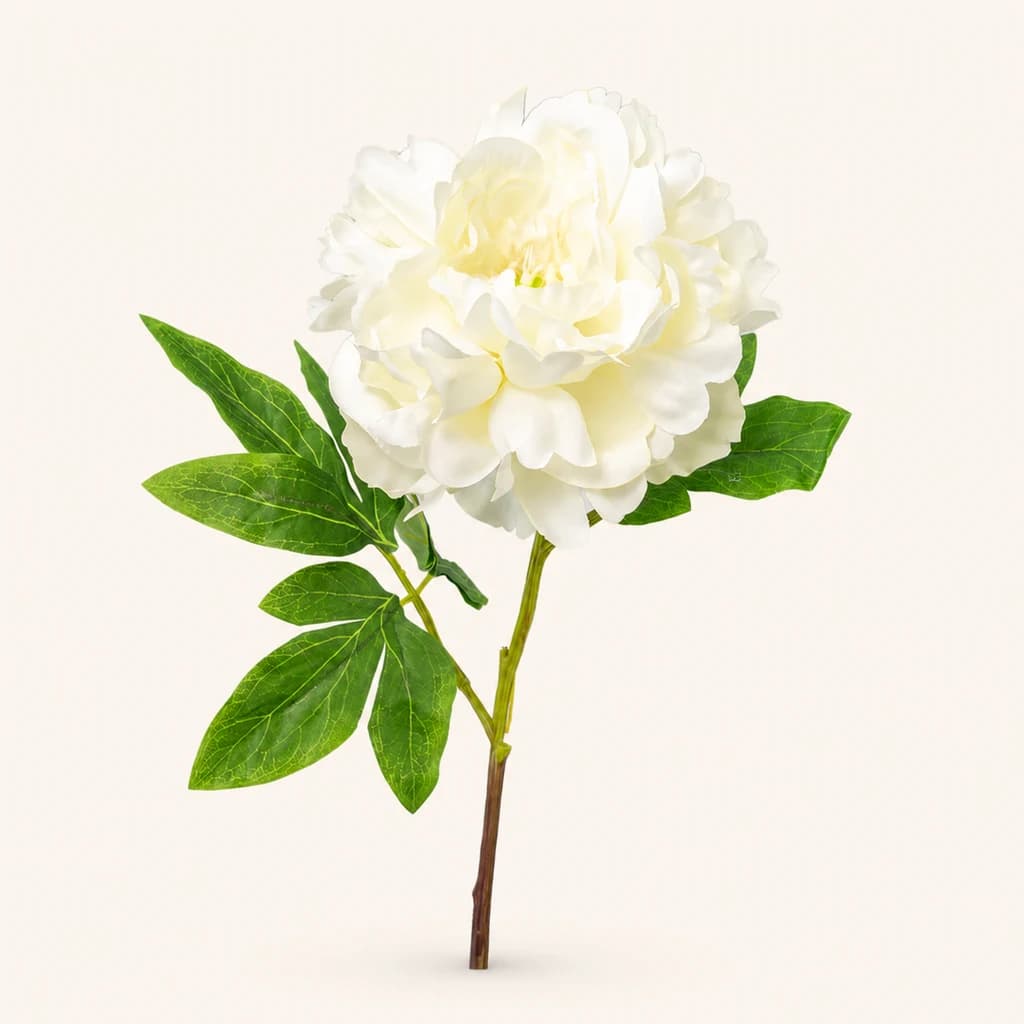 Pivoine artificielle