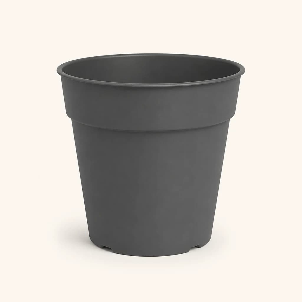 Cache-pot Madagascar anthracite