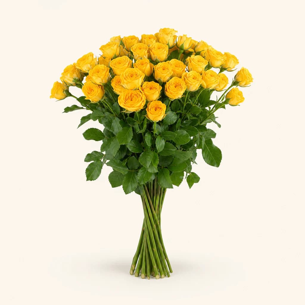 Ram de 40 Roses Spray Ramona