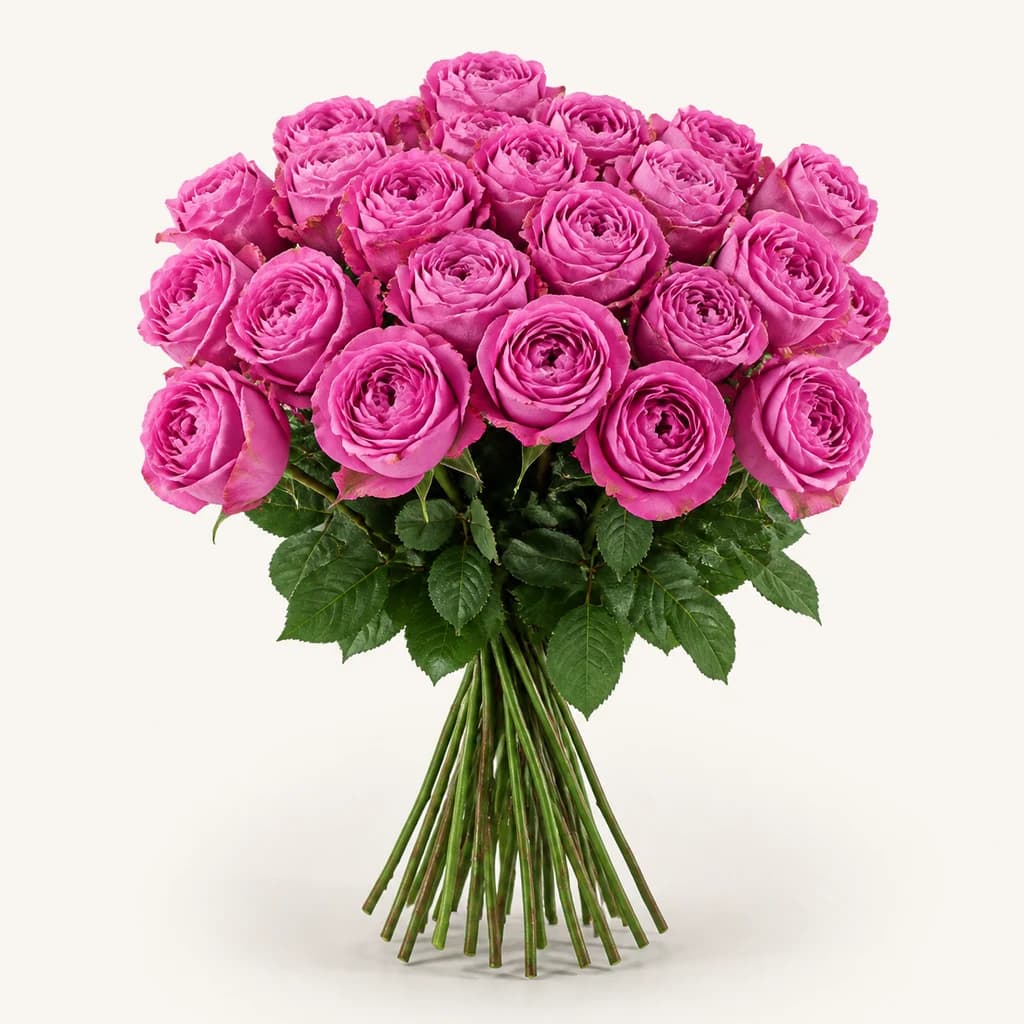 Queens Crown Lorategiko 25 Arrosako Sorta (Rosa)