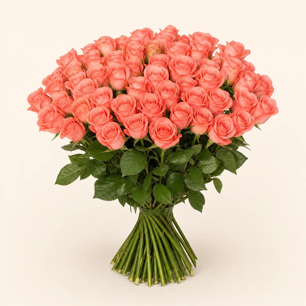 Rose Corail (Rosa)