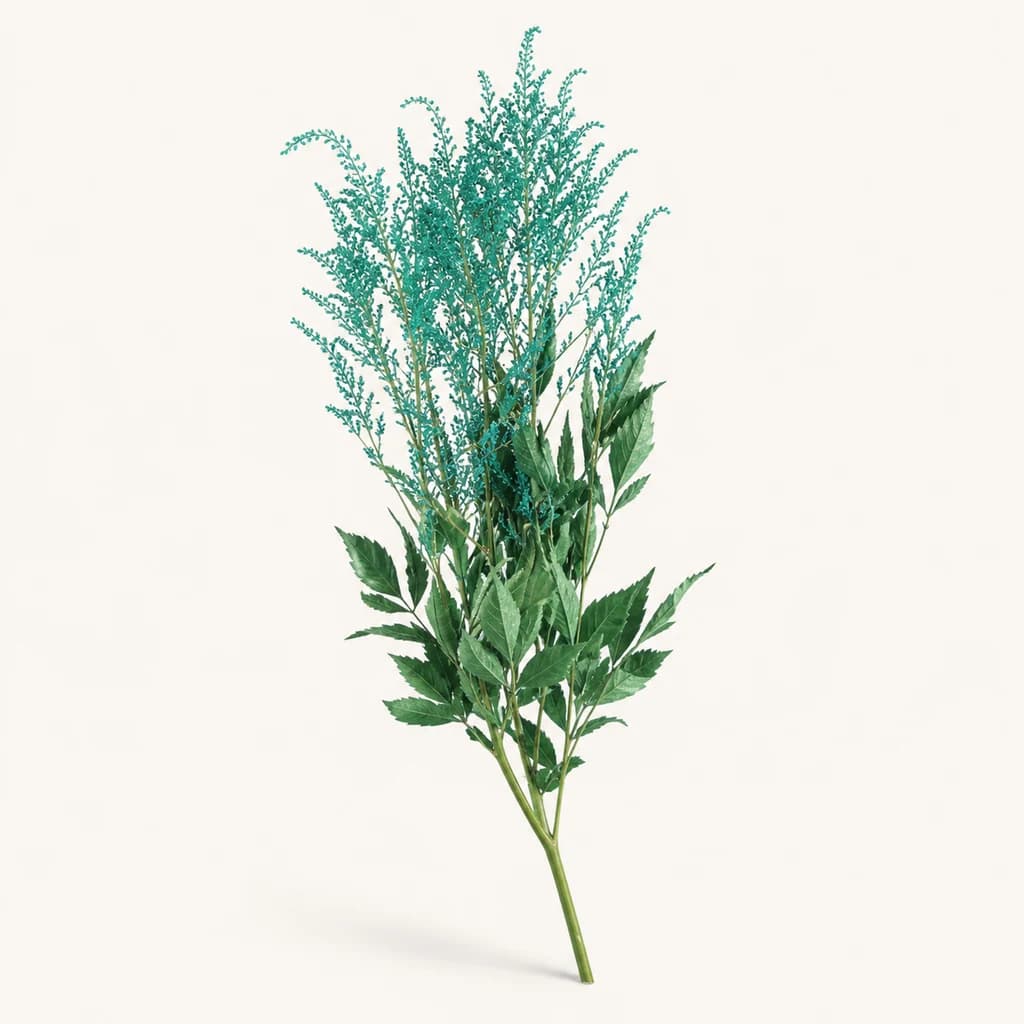 Astilbe preservada turquesa