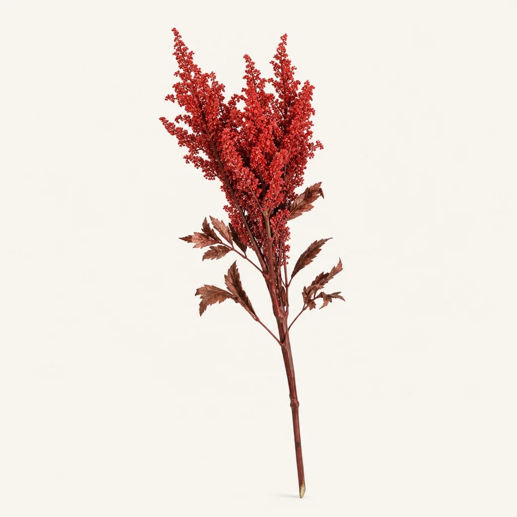 Astilbe preservada vermella