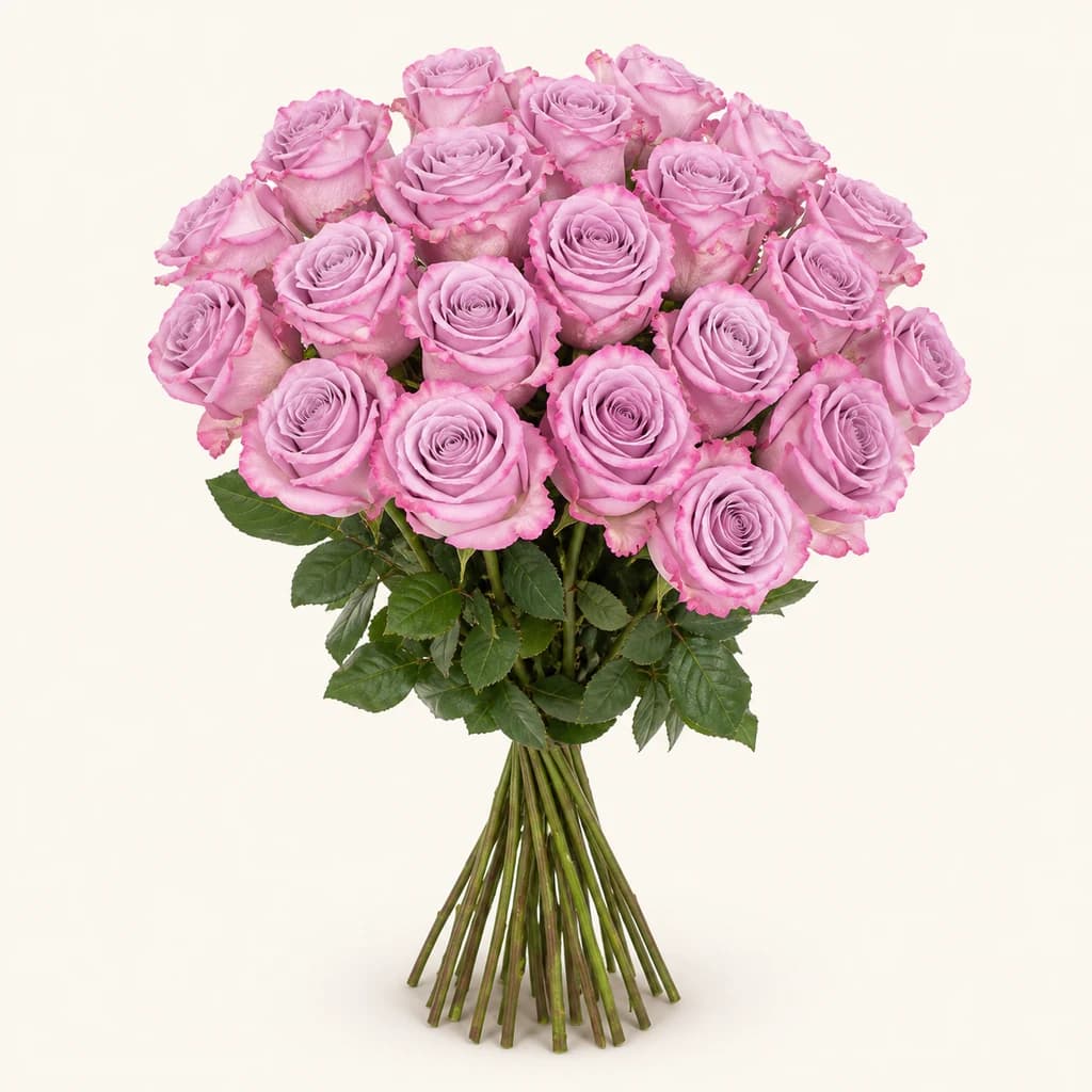 Ramo de 25 Rosas Lavanda Star Platinum