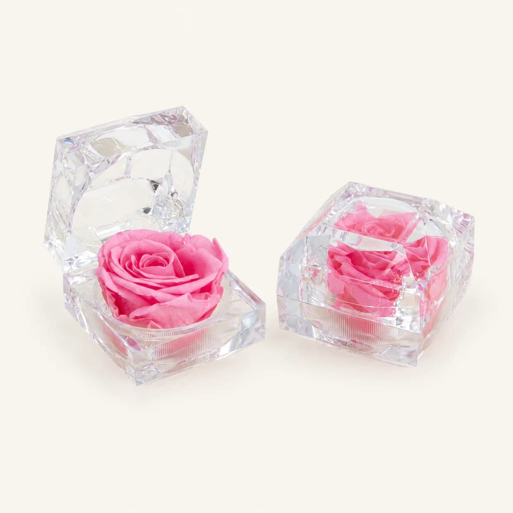 Rosas preservadas Jewel en estuche joya, pack de 2