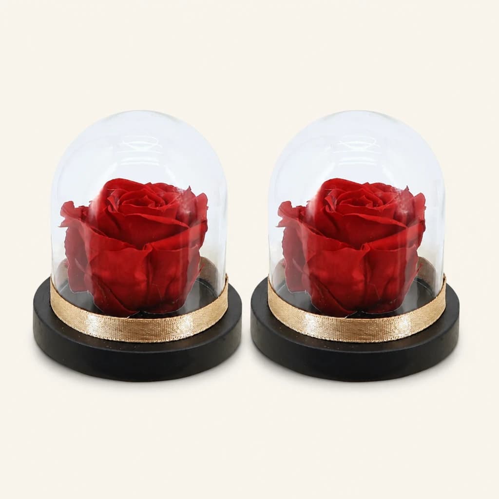Rosas preservadas Glam Dome bajo cúpula, pack de 2