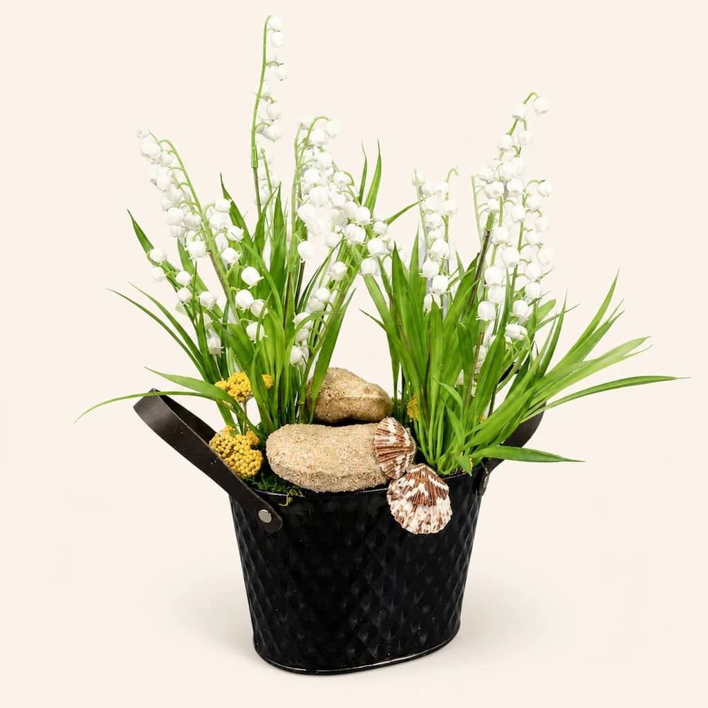 Muguet Premium Zorroko Sorta Artifiziala