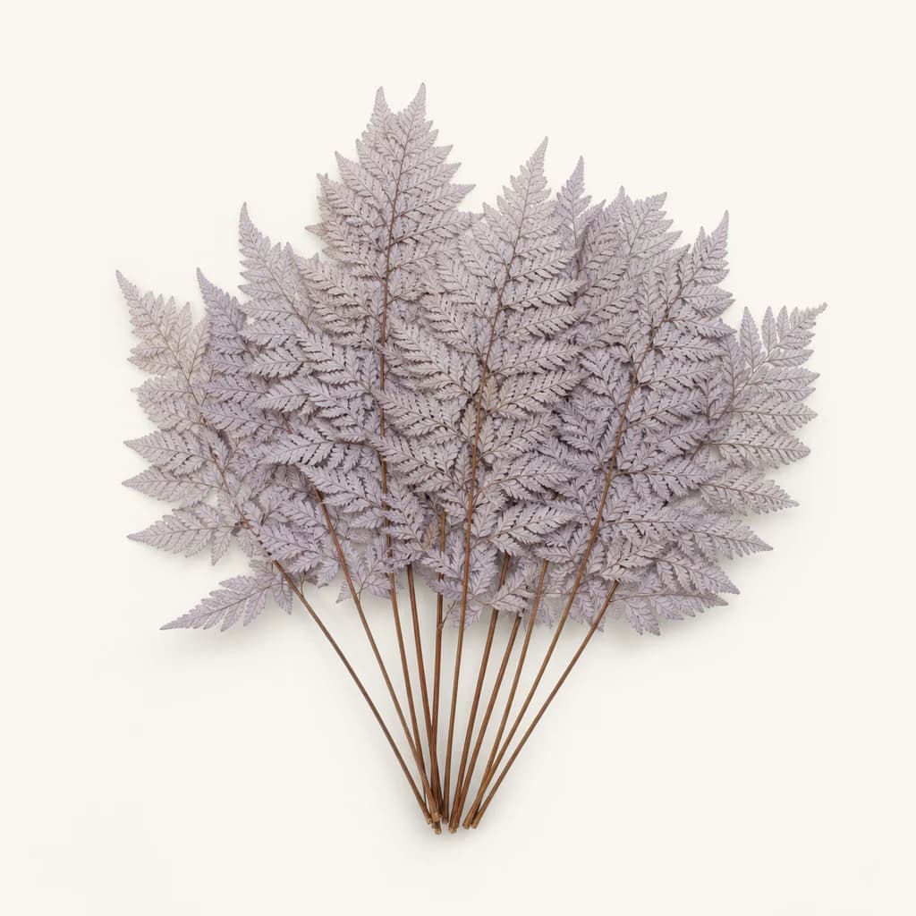 Fento coiro preservado lavanda