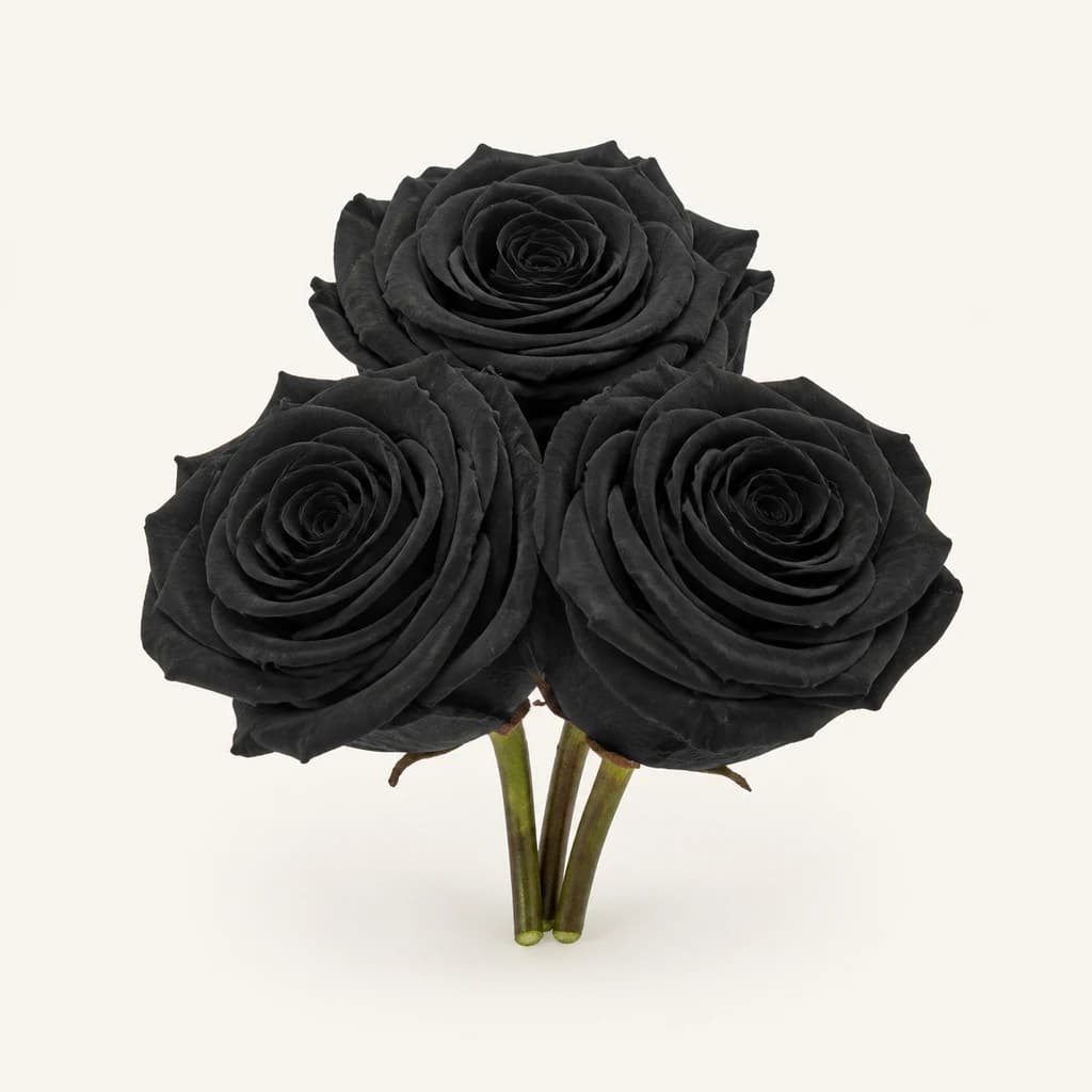 Têtes de rose stabilisée 4,5-5,5 cm, boîte de 3, plusieurs couleurs (Rosa)