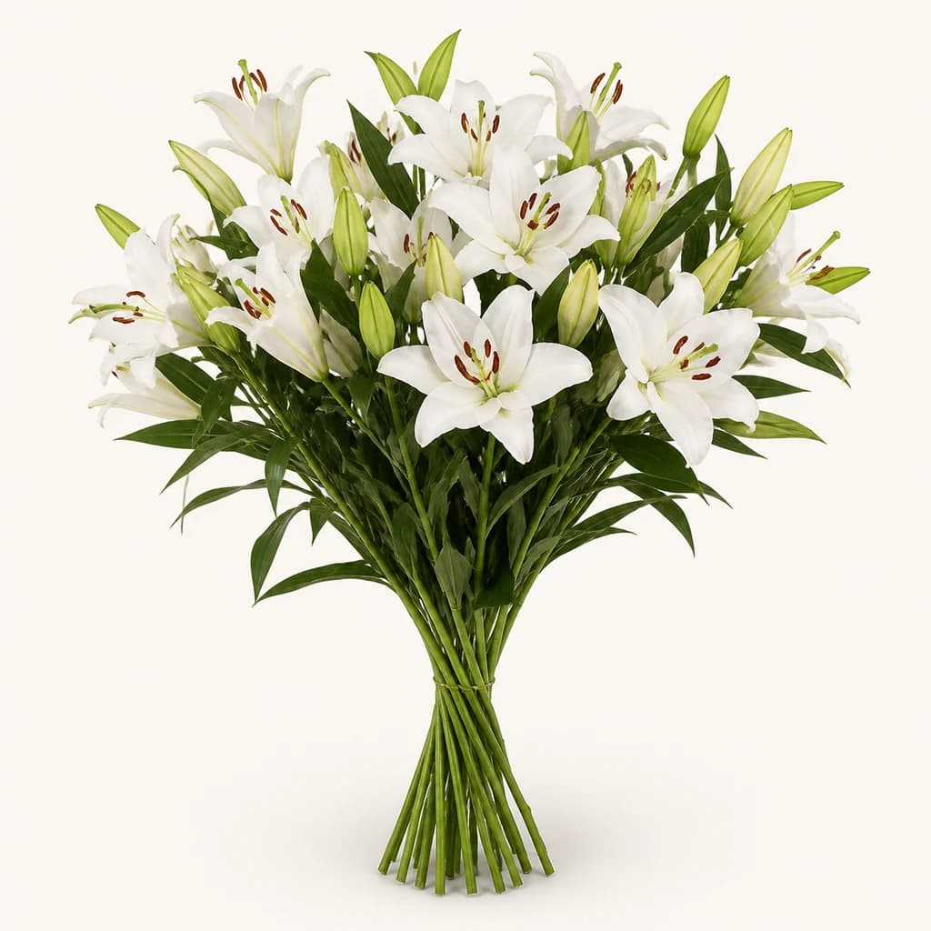 Ram de lliris blancs Tisento (Lilium oriental)