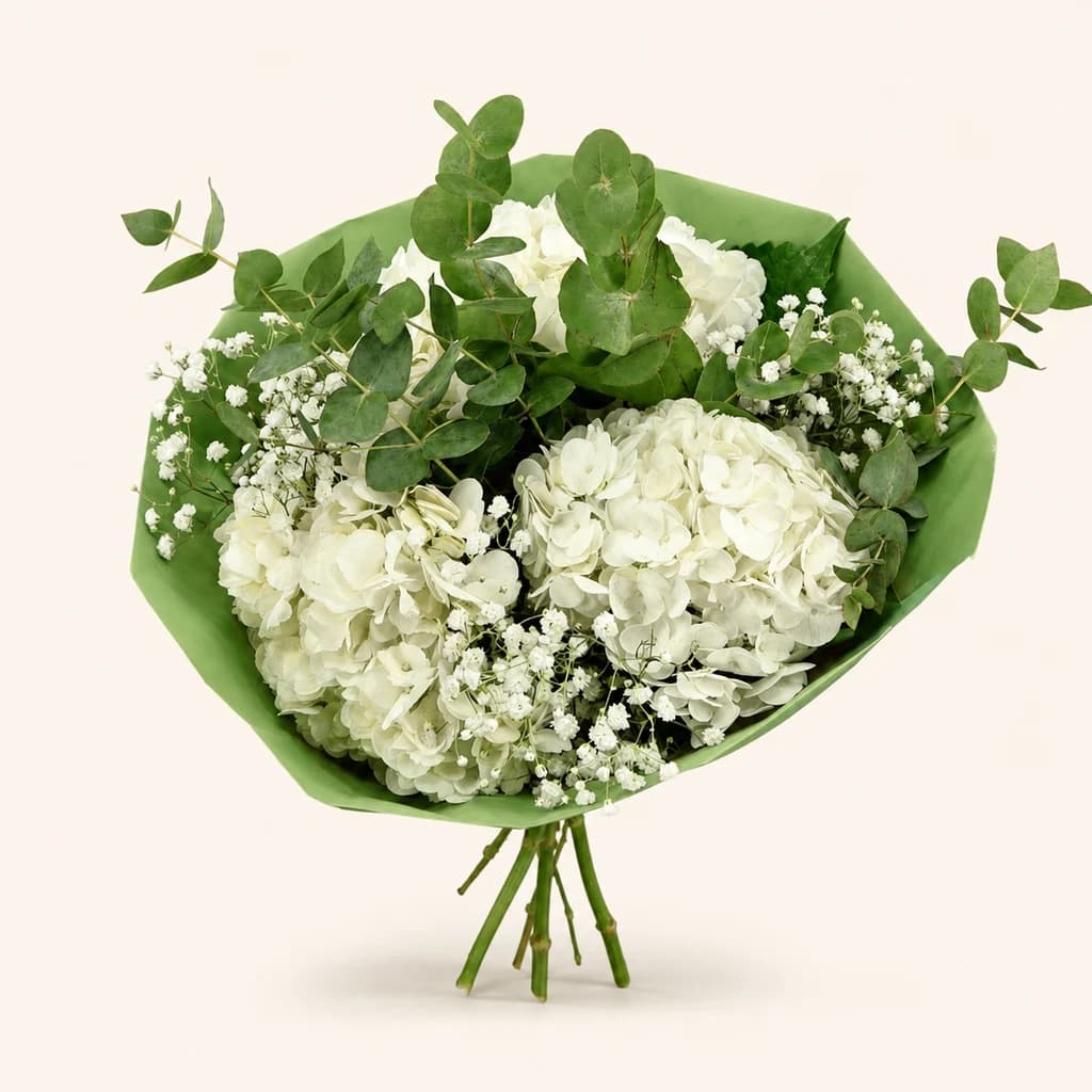 Bouquet fresco de hortensias, cinerea y paniculata
