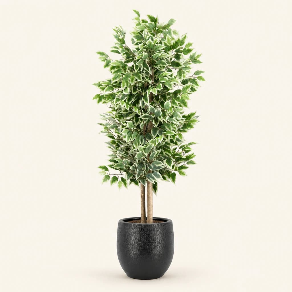 Ficus artificial con maceta