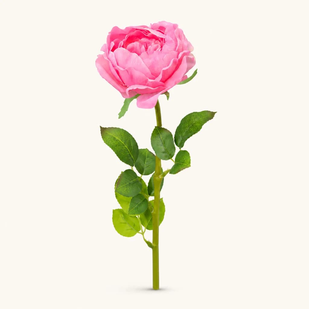 Rosa Peonía Artificial, lote de 12 unidades