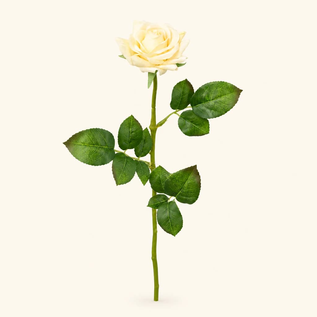 Rose Explorer Artificielle