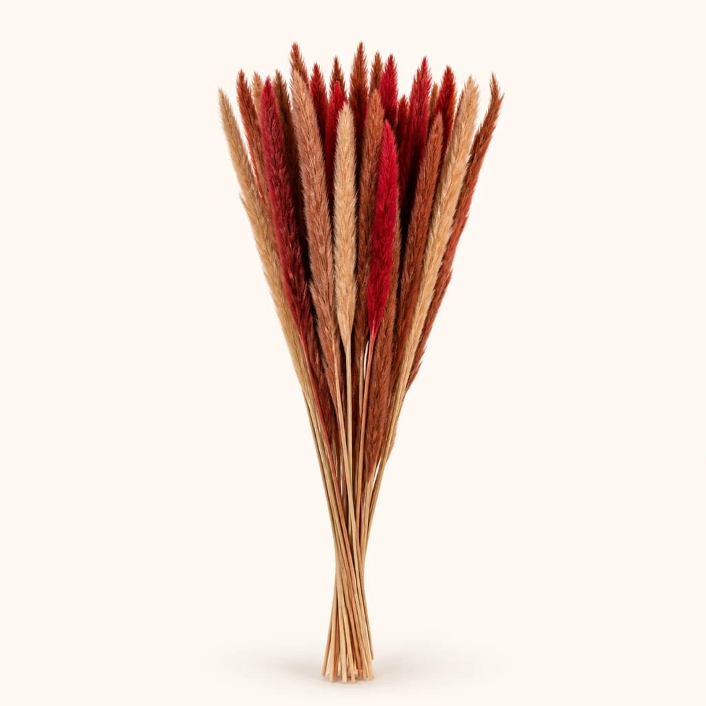 Pluma decorativa granate