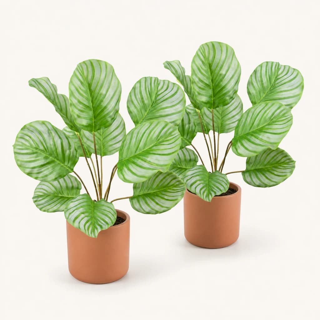 Calathea Artificiel