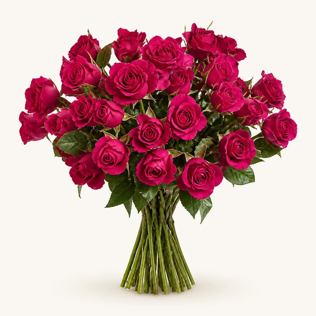 Bouquet de Roses Spray Lianne (Rosa)
