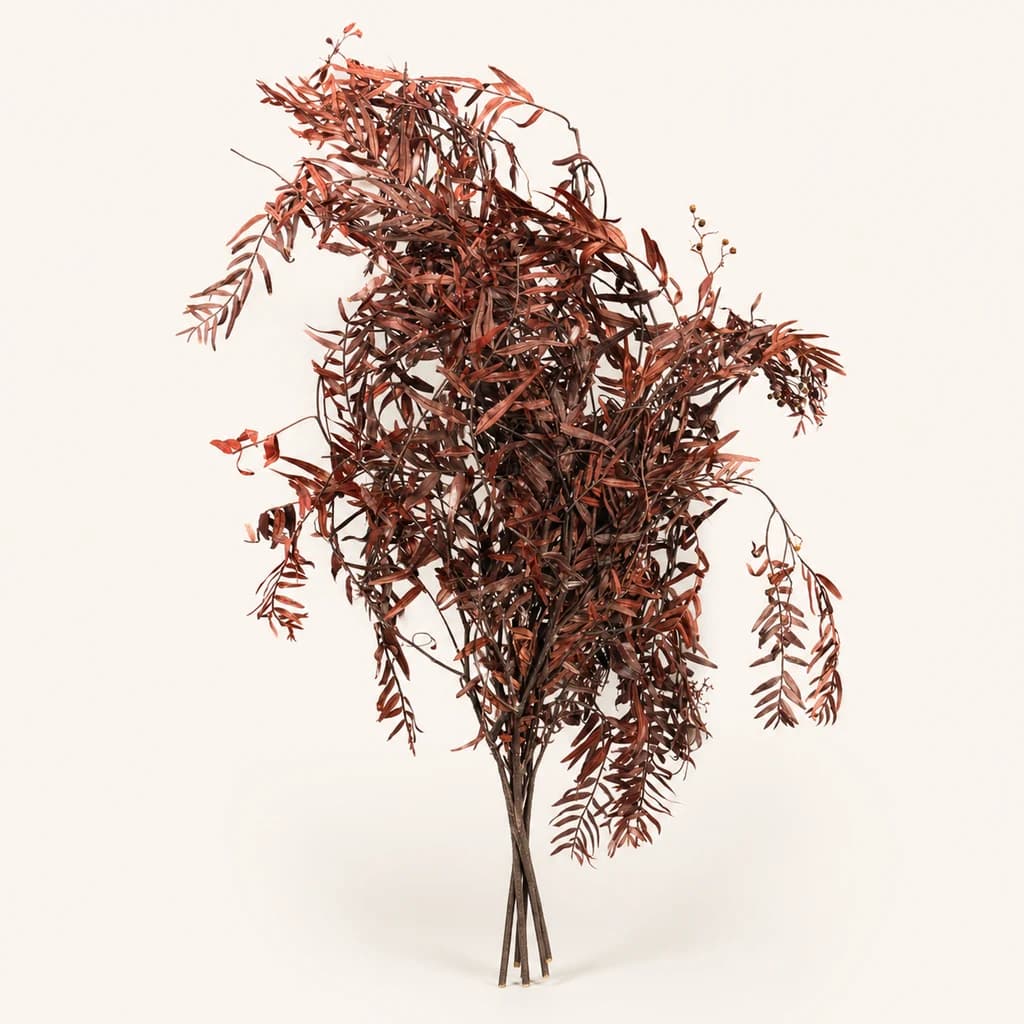 Falsa Pementa Preservada Granate
