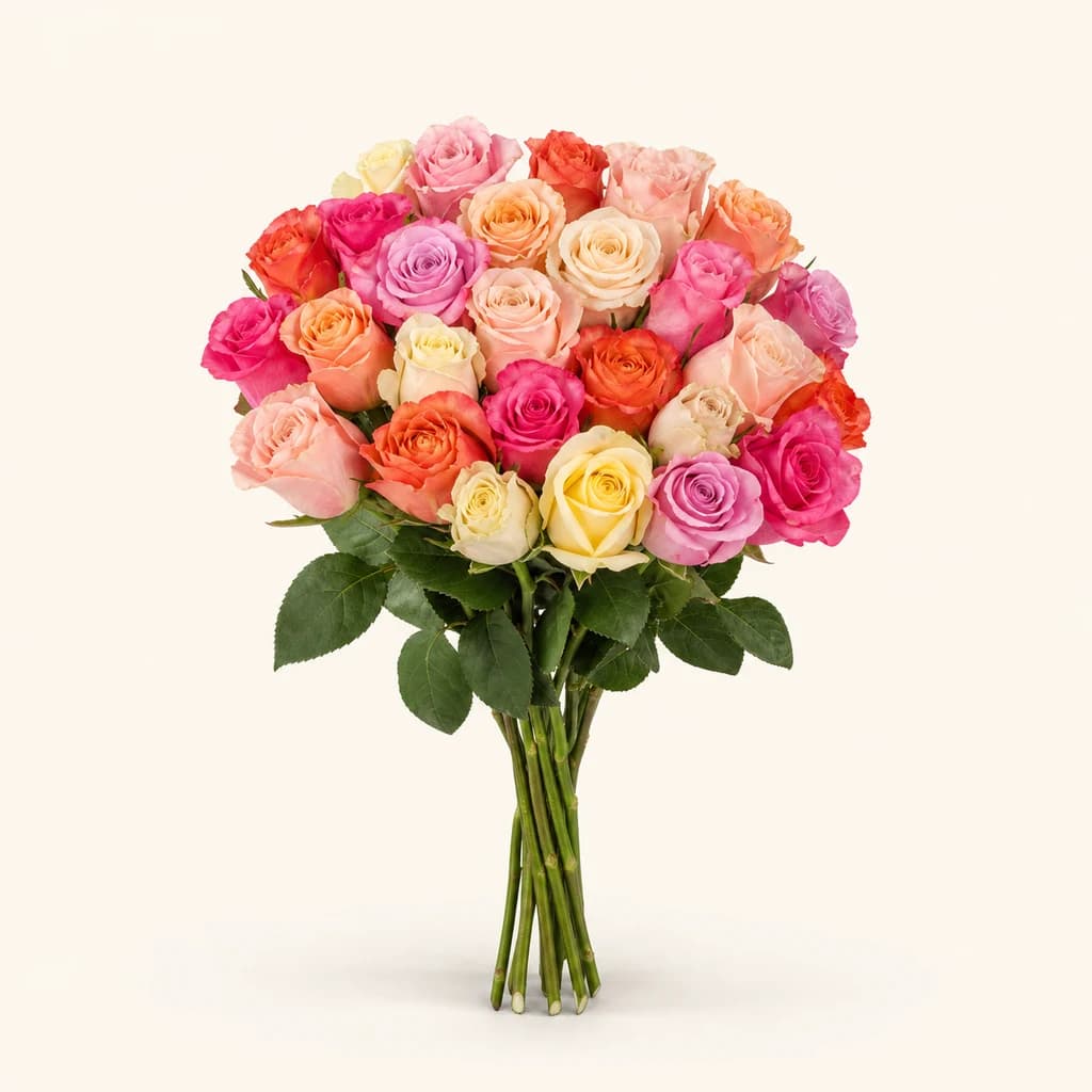 Roses fraîches mixtes standard, de 1 à 50 tiges (Rosa)