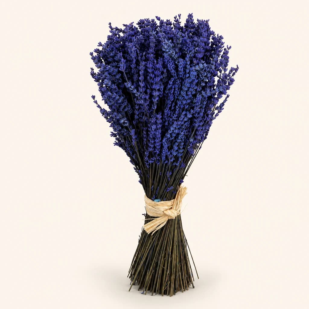 Lavanda Violeta Preservada