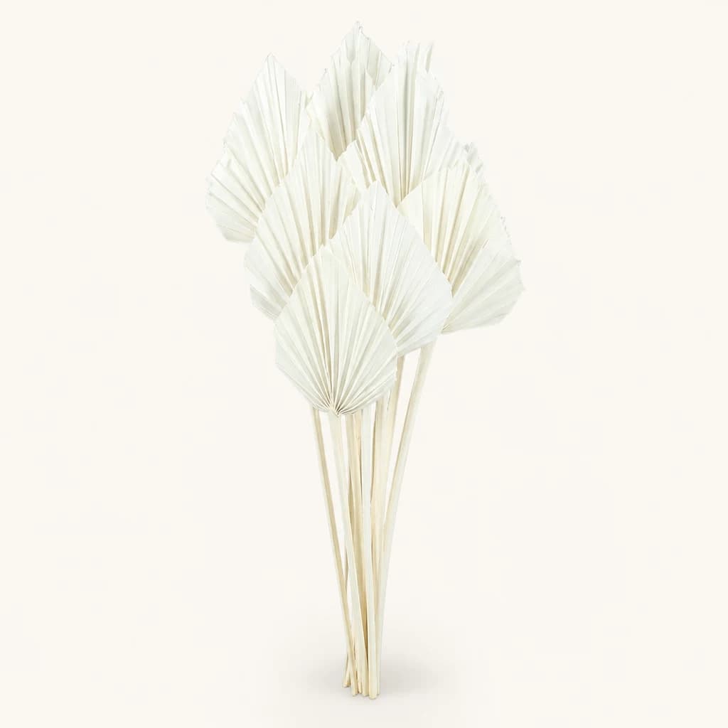 Folha de palmeira seca branqueada