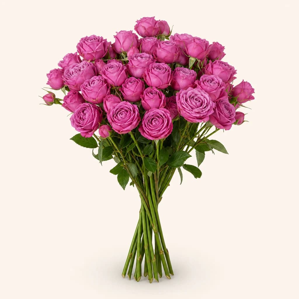 Ramo de 10 Rosas Spray Misty Bubbles