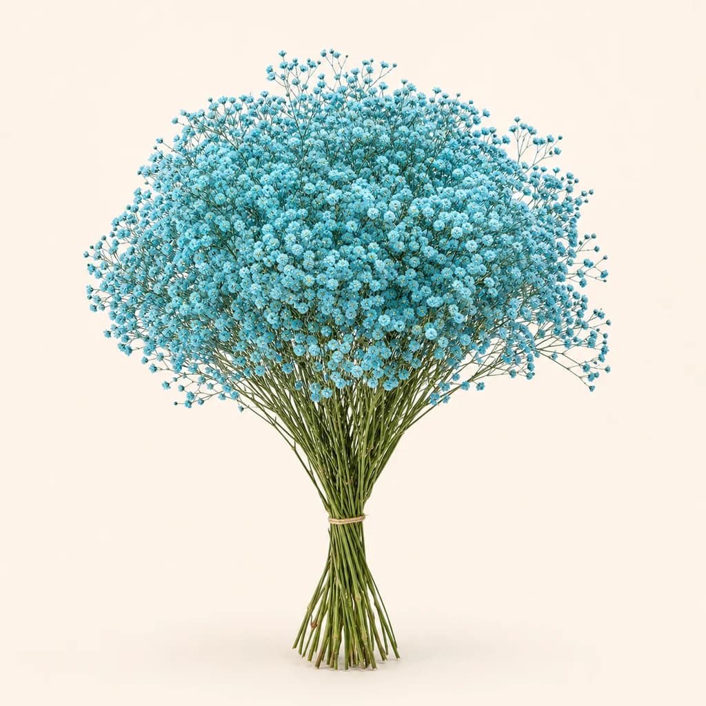 Ram de 25 paniculates (Gypsophila paniculata) blau clar