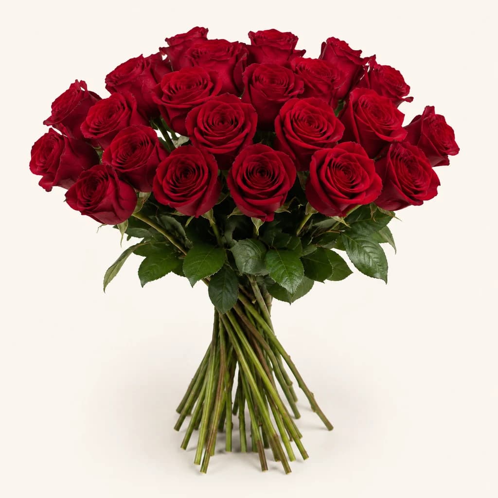 Rosa Poxa Holanda Madame Red