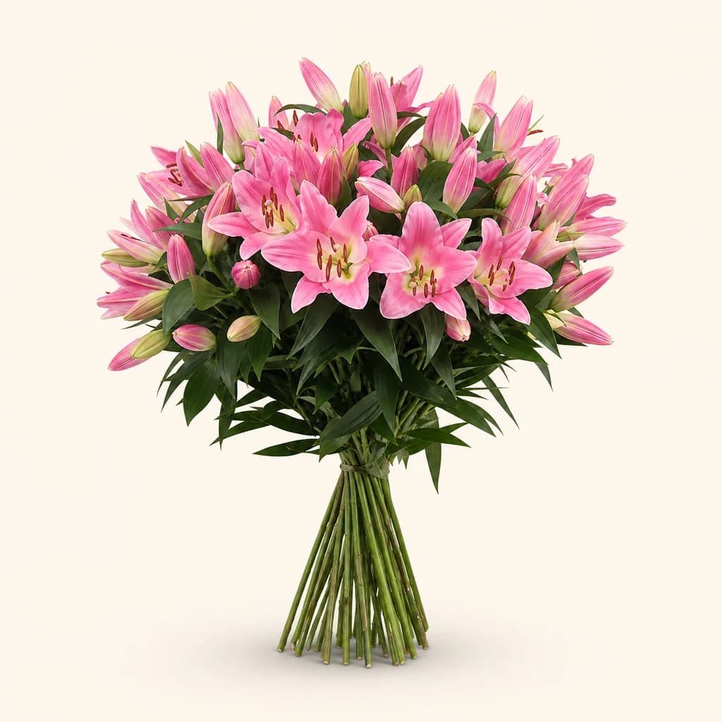Lilium oriental rosa