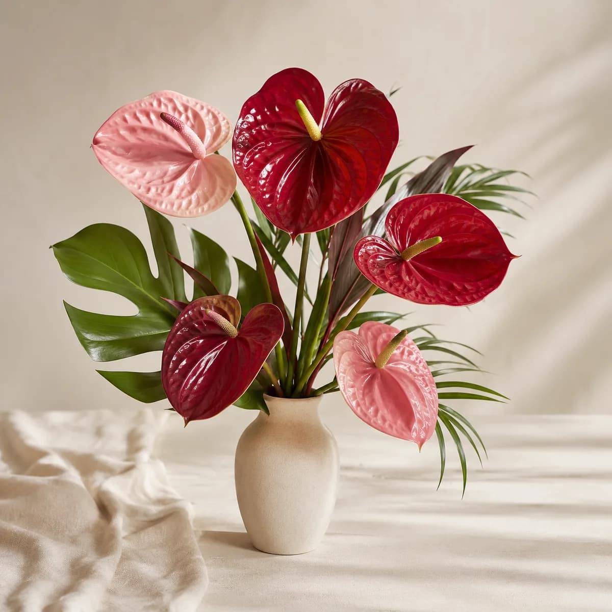 Anthurium