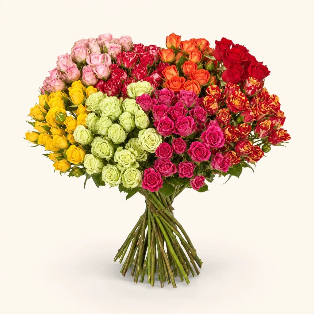 Roses mixtes multicolor