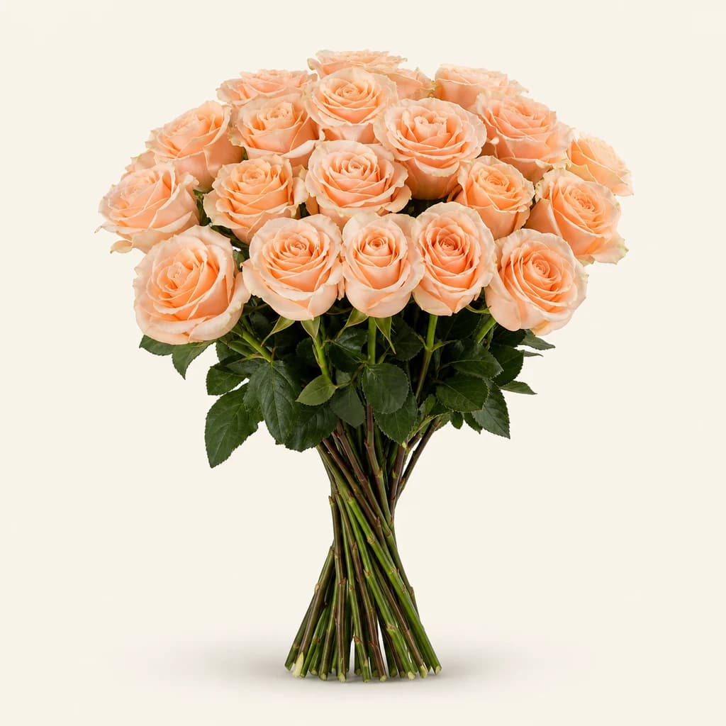 Rosa Phoenix salmó