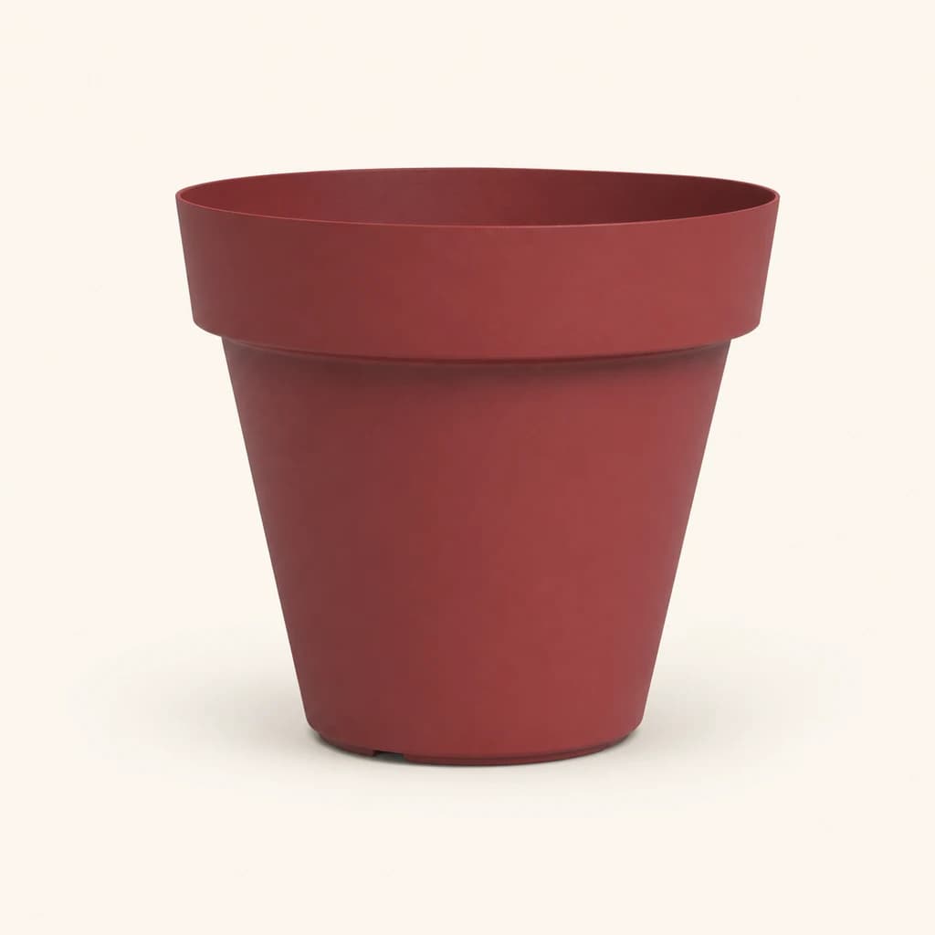 Vaso Capri