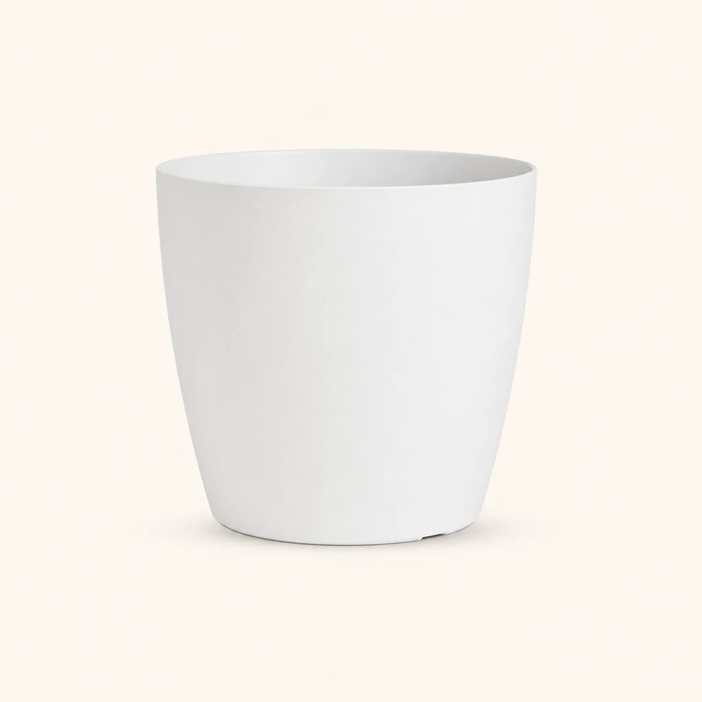 Vaso San Remo mate