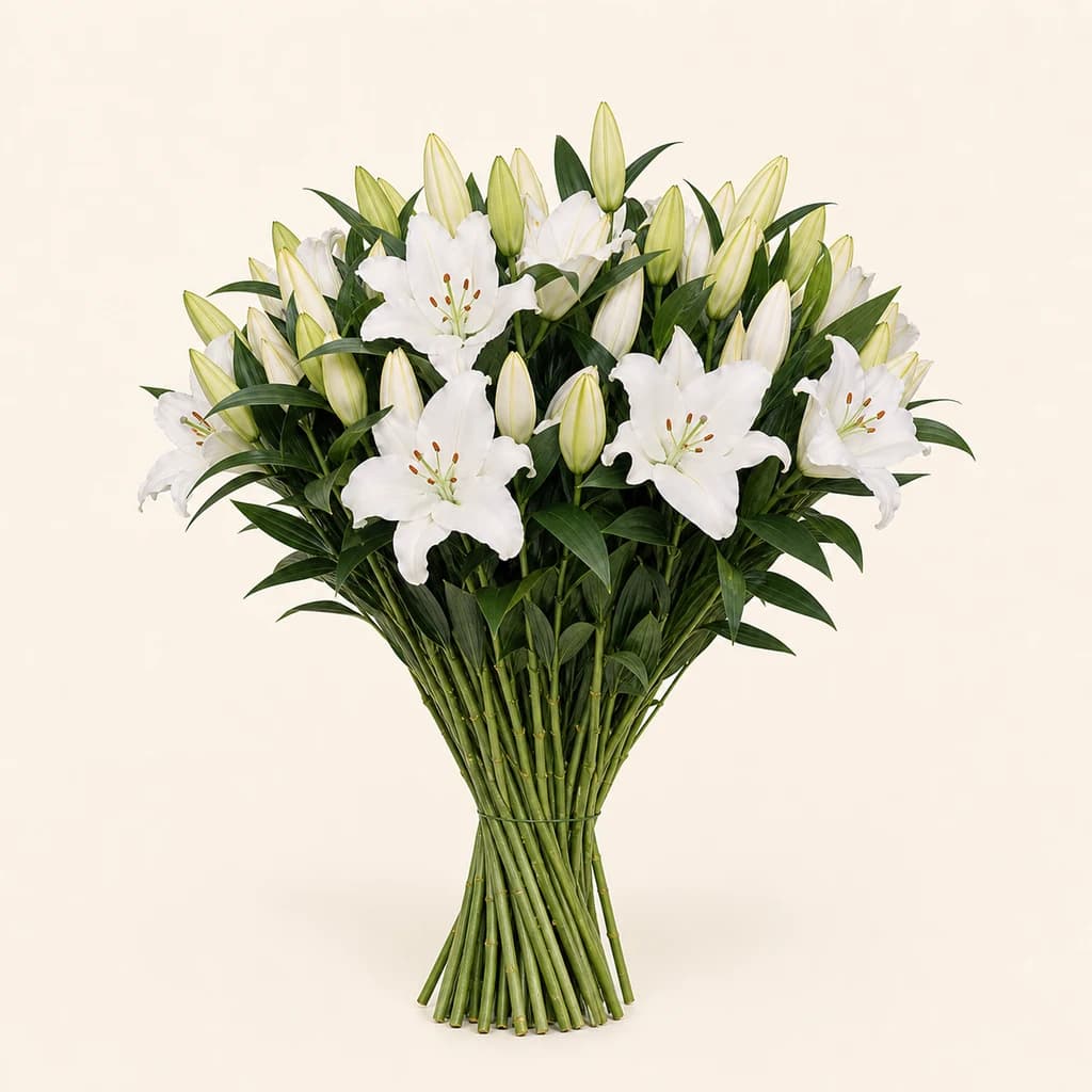 Lirio oriental White Passion blanco