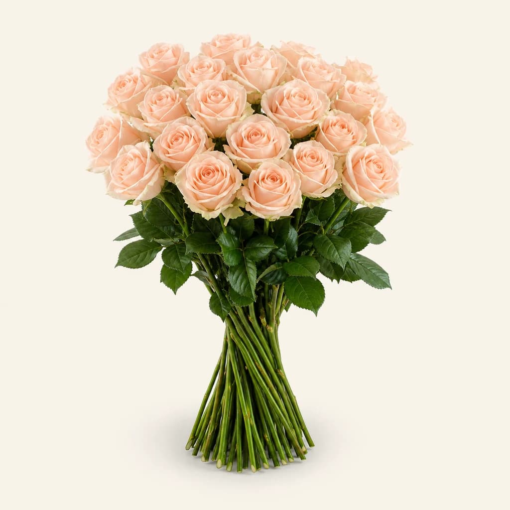 Rose Tiffany saumon
