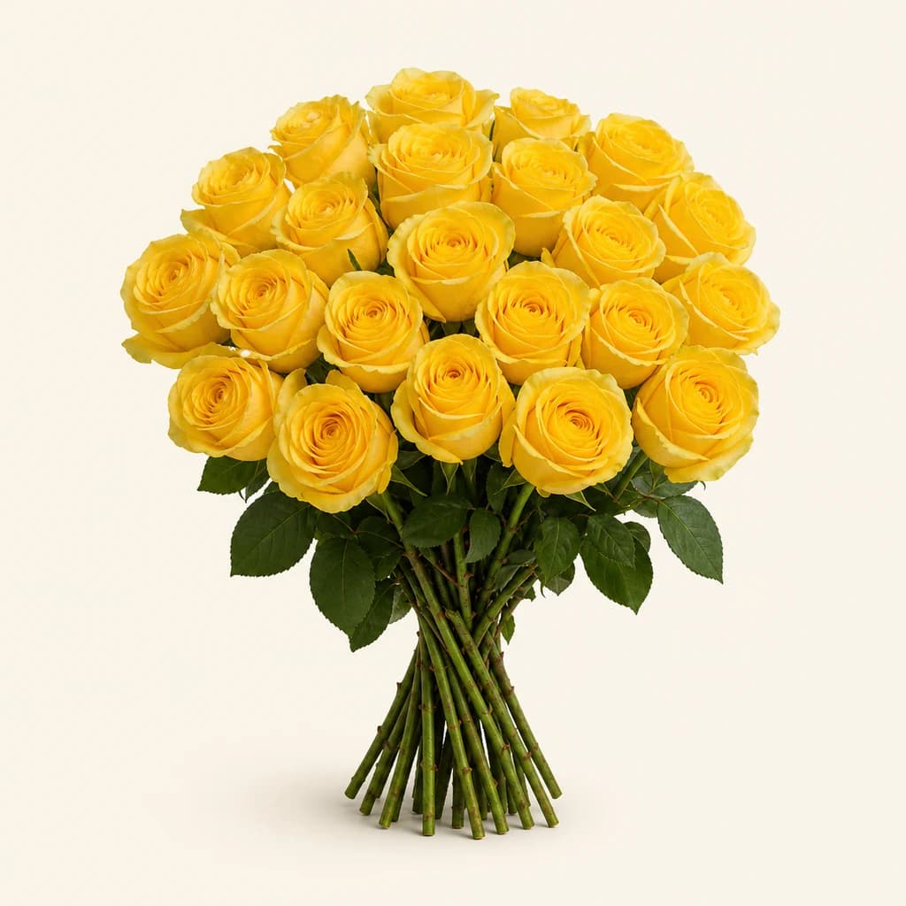 Rose Brighton jaune