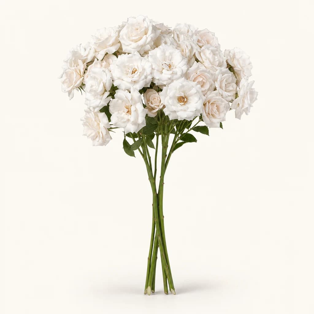 Arrosa spray White Majolika
