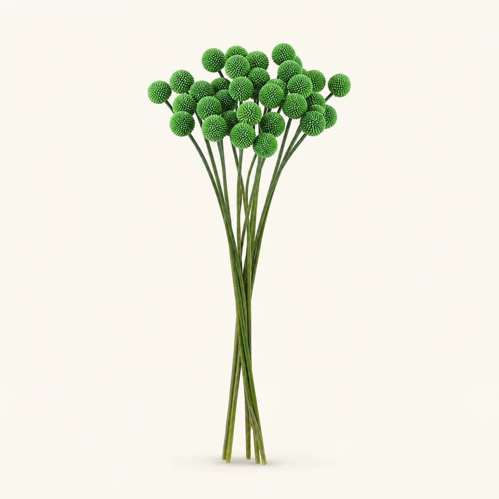 Craspedia teñida verde